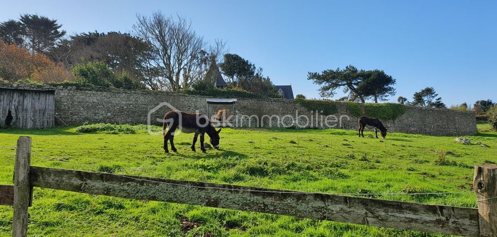 � vendre  Propri�t�/ch�teau Plougasnou (29630)