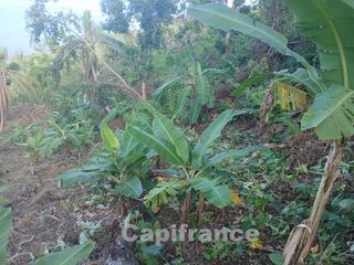  Terrain � vendre 3328 m�