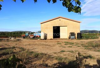  Terrain � vendre 87173 m�