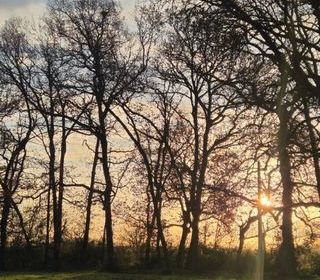  Terrain � vendre 3454 m�