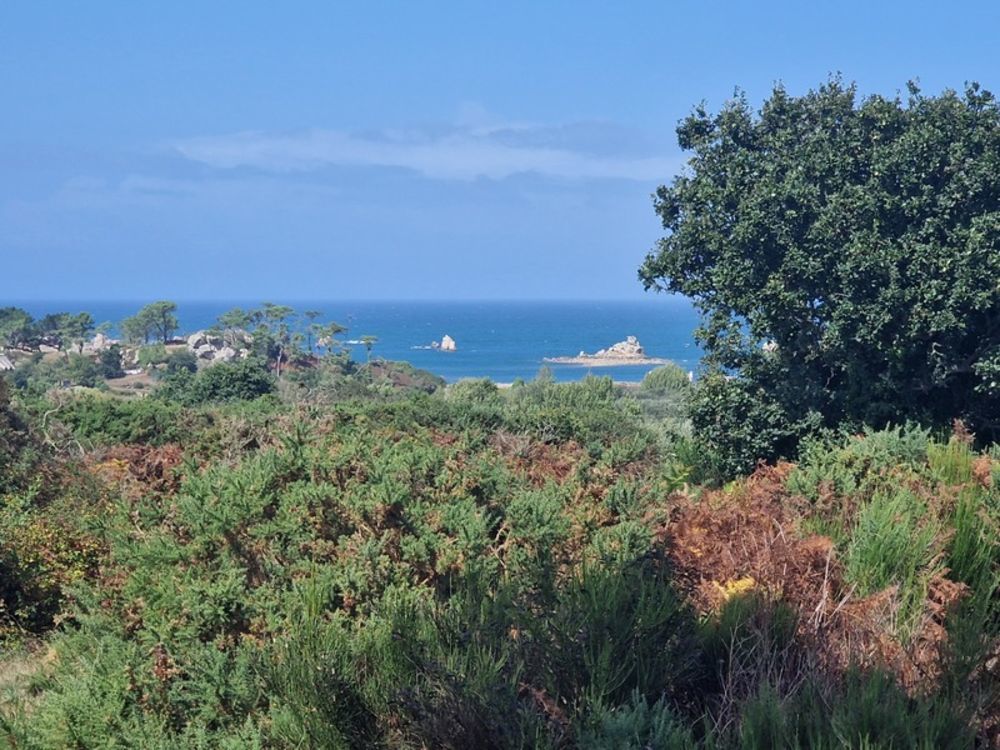 � vendre  Propri�t�/ch�teau Plougrescant (22820)