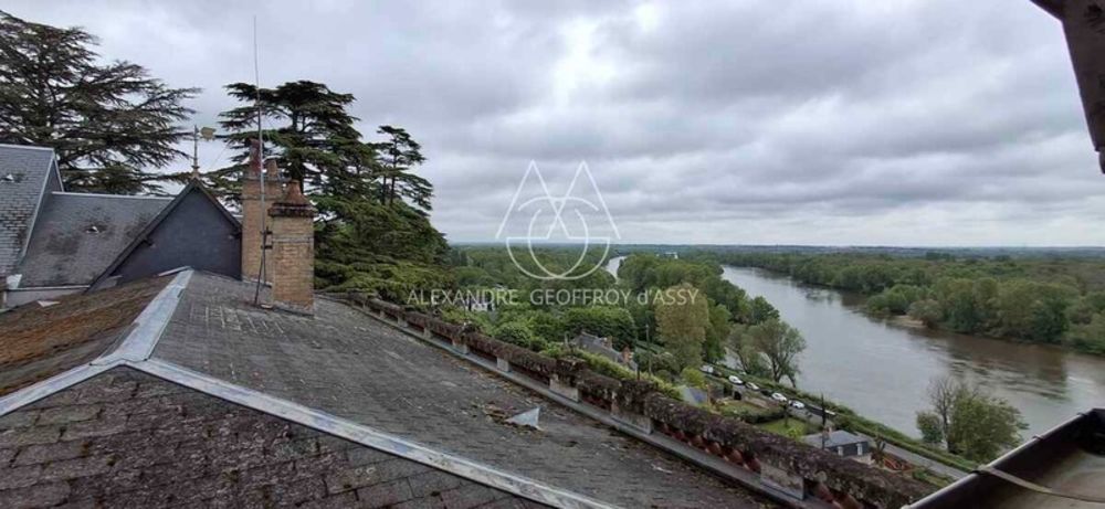 � vendre  Propri�t�/ch�teau Tours (37000)