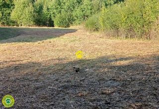  Terrain � vendre 4595 m�