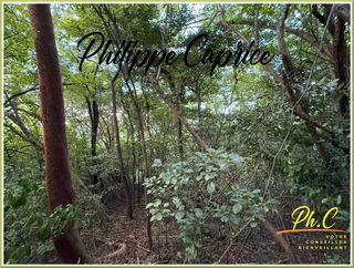  Terrain � vendre 2255 m�