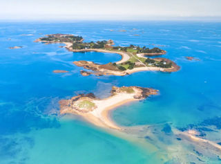  Appartement � vendre 2 pi�ces 31 m�