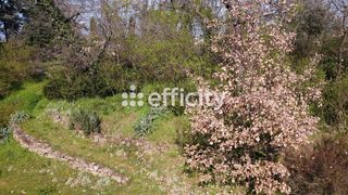  Propri�t�/ch�teau � vendre 8 pi�ces 300 m�