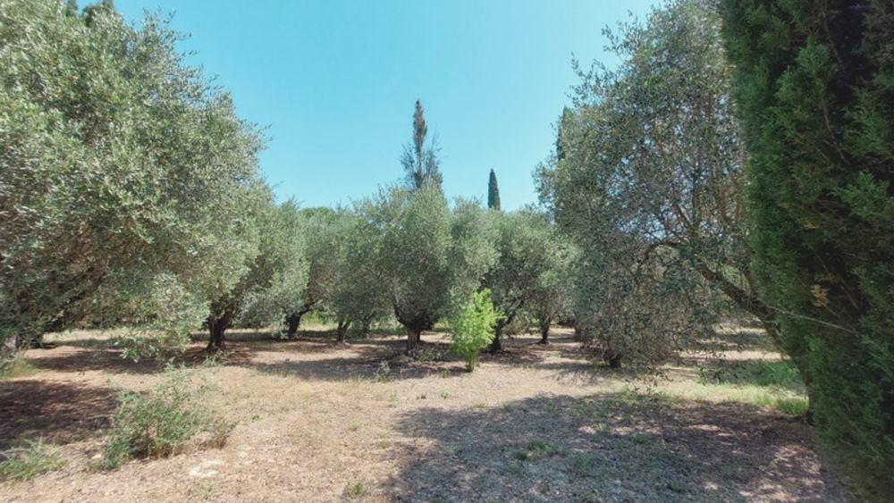 � vendre  Propri�t�/ch�teau Saint-R�my-de-Provence (13210)