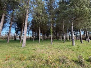  Terrain � vendre 3000 m�