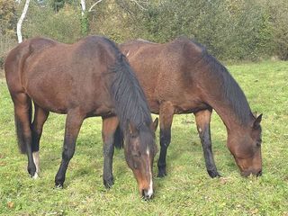  Maison � vendre 5 pi�ces 112 m�