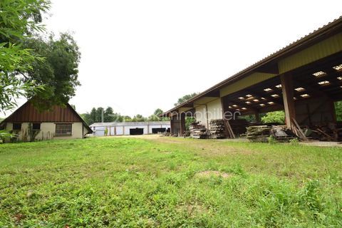 Locaux d'activit&eacute; sur 13 000 m&sup2; (surface b&acirc;tie 2600 m&sup2;) + parc bois&eacute; de 48 000 m&sup2; 790000 28320 Gallardon