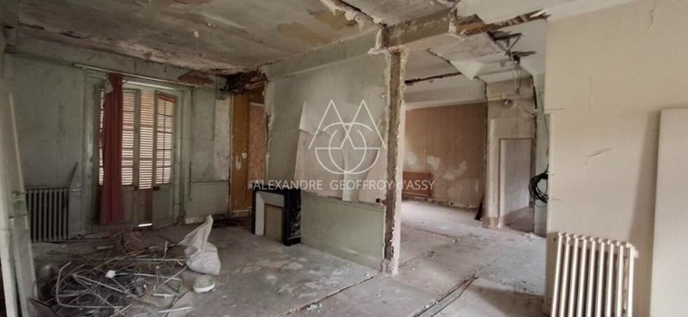 � vendre  Propri�t�/ch�teau Tours (37000)