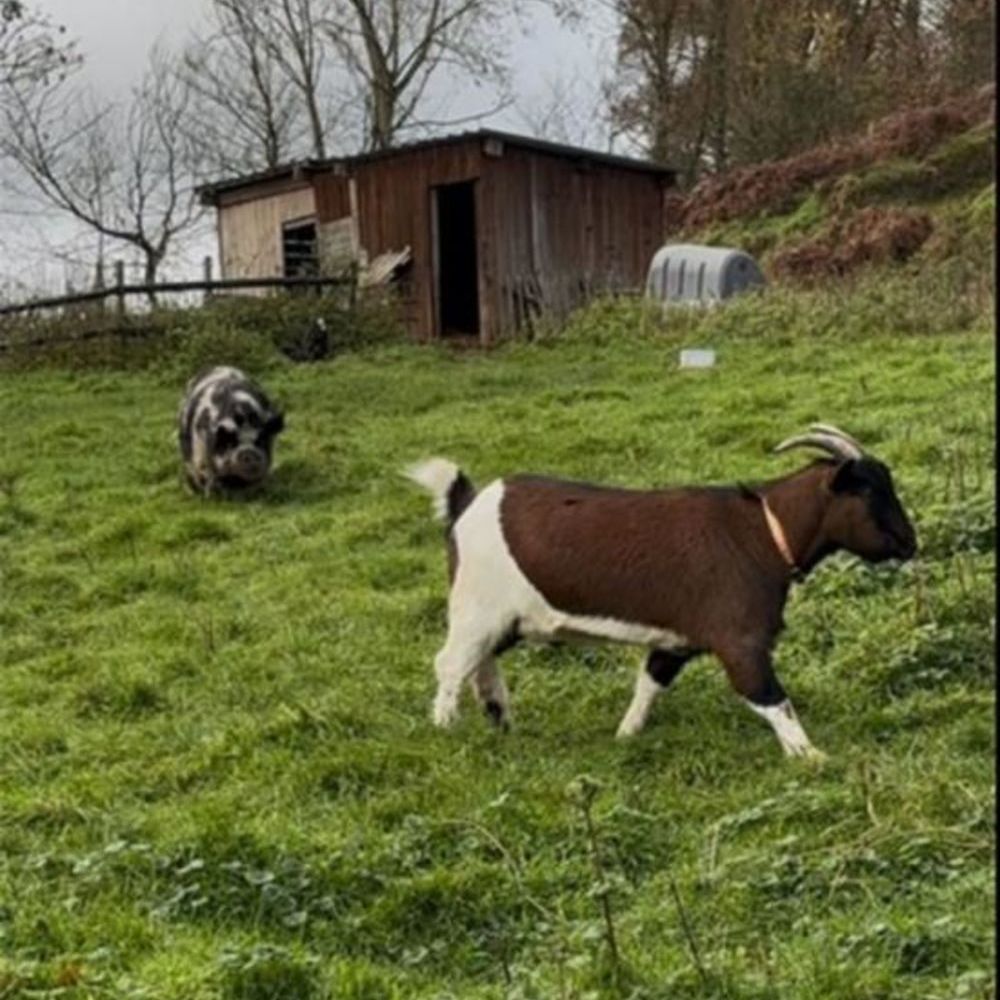 � vendre  Maison Caen (14000)