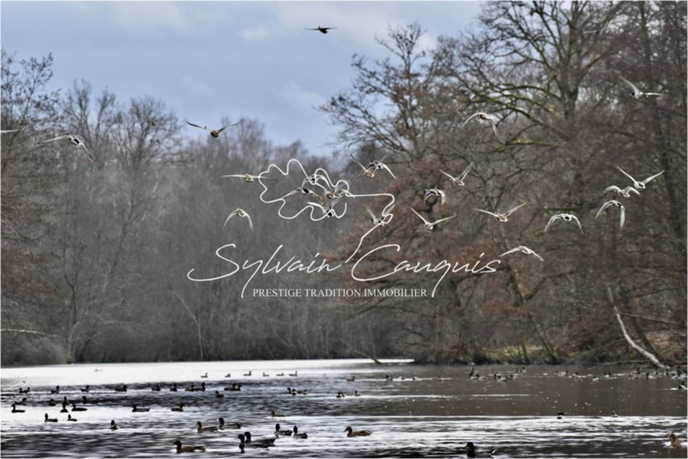 � vendre  Propri�t�/ch�teau Sennely (45240)