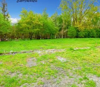  Terrain � vendre 2404 m�