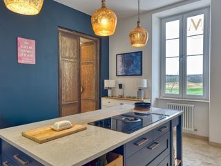  Propri�t�/ch�teau � vendre 15 + pi�ces 485 m�