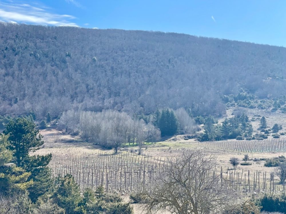 � vendre  Propri�t�/ch�teau Lagarde-d'Apt (84400)