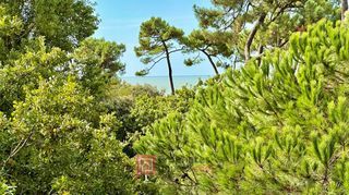  Appartement � vendre 1 pi�ce 25 m�