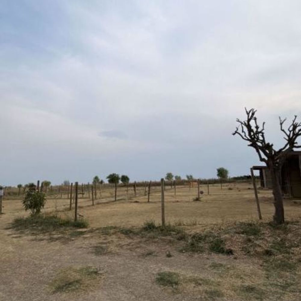 � vendre  Propri�t�/ch�teau Bassan (34290)