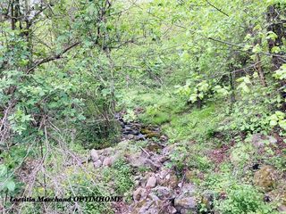  Terrain � vendre 65135 m�