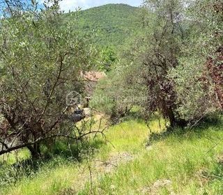  Terrain � vendre 3077 m�