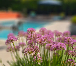  Maison � vendre 4 pi�ces 126 m�