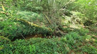  Terrain � vendre 4300 m�