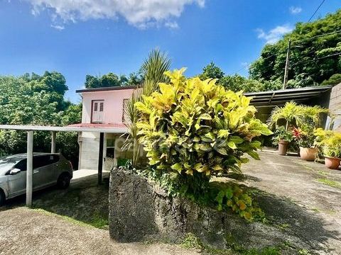   Ensemble immobilier � vendre au MORNE-VERT (972) Maison - 9 pi�ce(s) - 239 m�