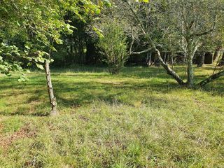  Terrain � vendre 860 m�