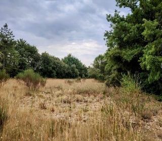  Terrain � vendre 4198 m�