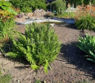  Propri�t�/ch�teau � vendre 8 pi�ces 240 m�