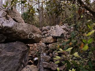  Terrain � vendre 7800 m�