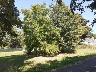  Terrain � vendre 1100 m�