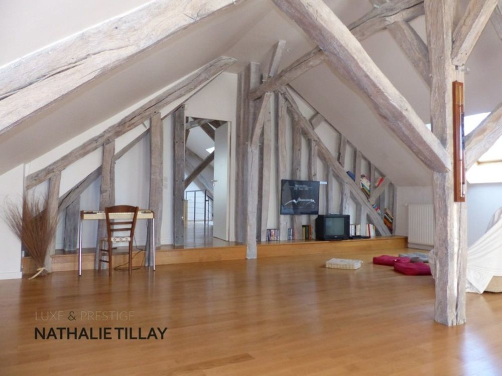 � vendre  Propri�t�/ch�teau Saint-Jean-le-Blanc (45650)