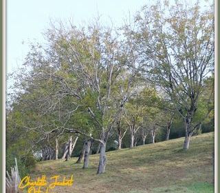  Terrain � vendre 5090 m�