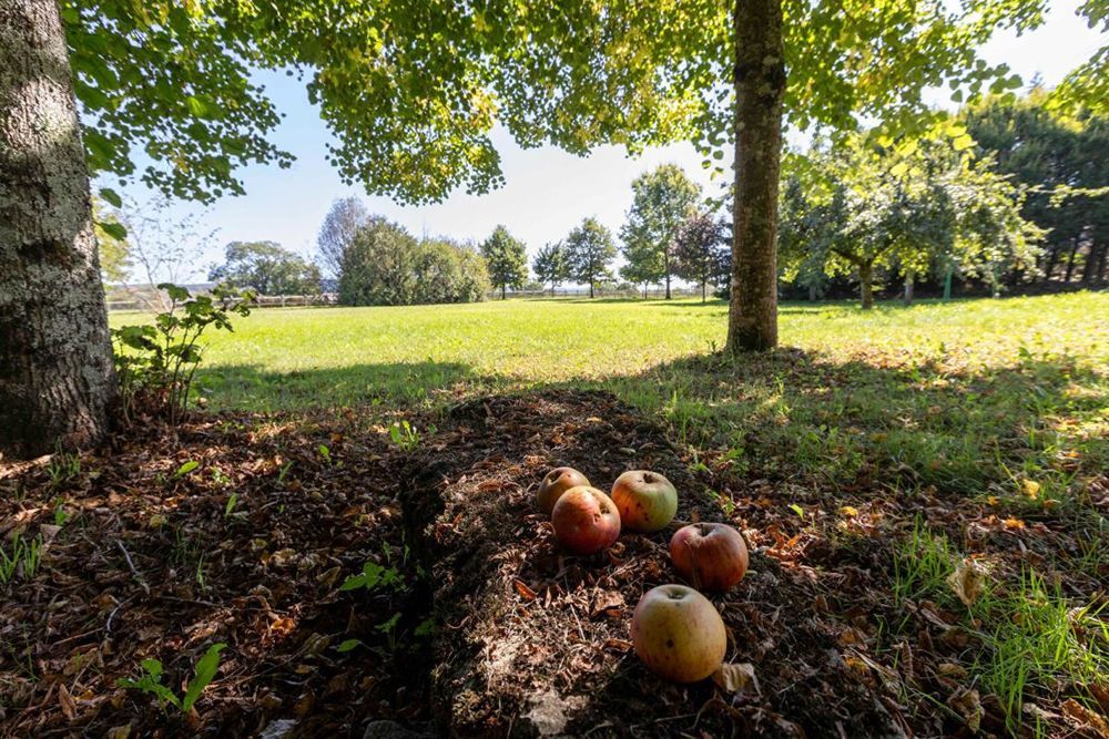 � vendre  Propri�t�/ch�teau Le Fied (39800)