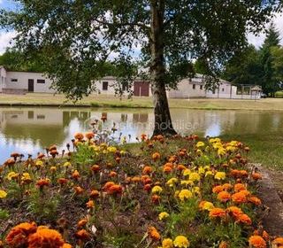  Maison � vendre 4 pi�ces 380 m�