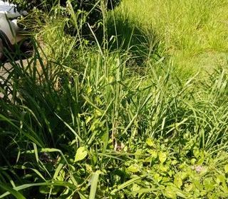  Terrain � vendre 556 m�