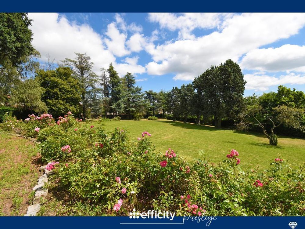 � vendre  Maison Chazelles-sur-Lyon (42140)