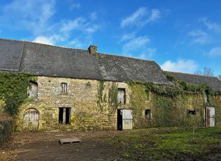  Propri�t�/ch�teau � vendre 5 pi�ces 600 m�