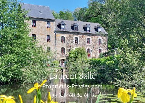   Moulin: G�tes / Chambres d'h�tes  (621 m2) Moulin - 15 + pi�ce(s) - 621 m�