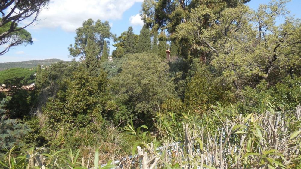 � vendre  Villa Les Issambres (83380)