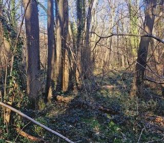  Terrain � vendre 1886 m�