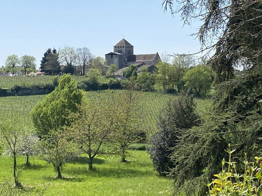 � vendre  Propri�t�/ch�teau Montagne (33570)