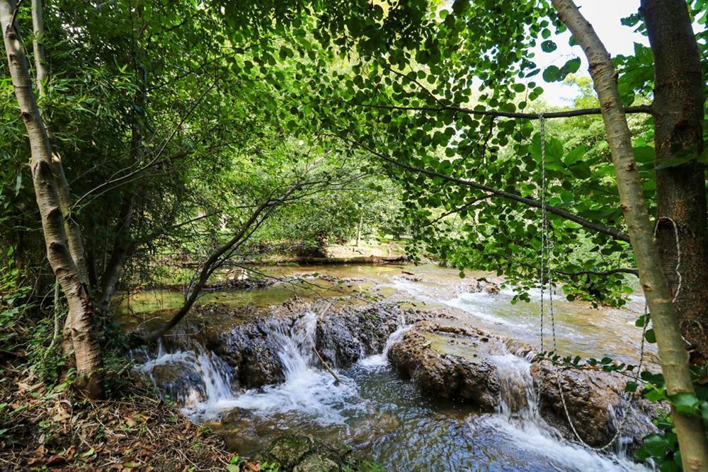 � vendre  Propri�t�/ch�teau Uz�s (30700)