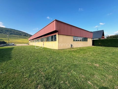 Local commercial de 671 m&sup2; sur 23,54 ares terrain constructible 480000 68500 Bergholtz
