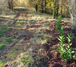  Terrain � vendre 1350 m�