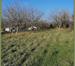  Terrain � vendre 5090 m�