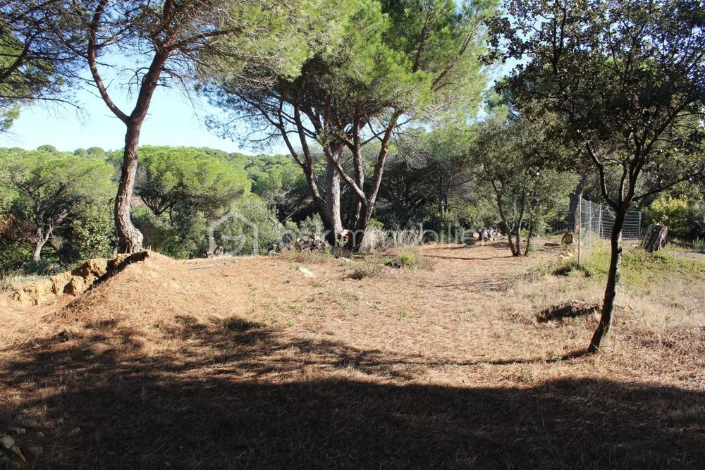 � vendre  Maison Bizanet (11200)