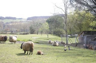  Maison � vendre 8 pi�ces 245 m�