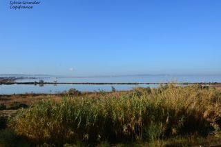  Appartement � vendre 2 pi�ces 41 m�